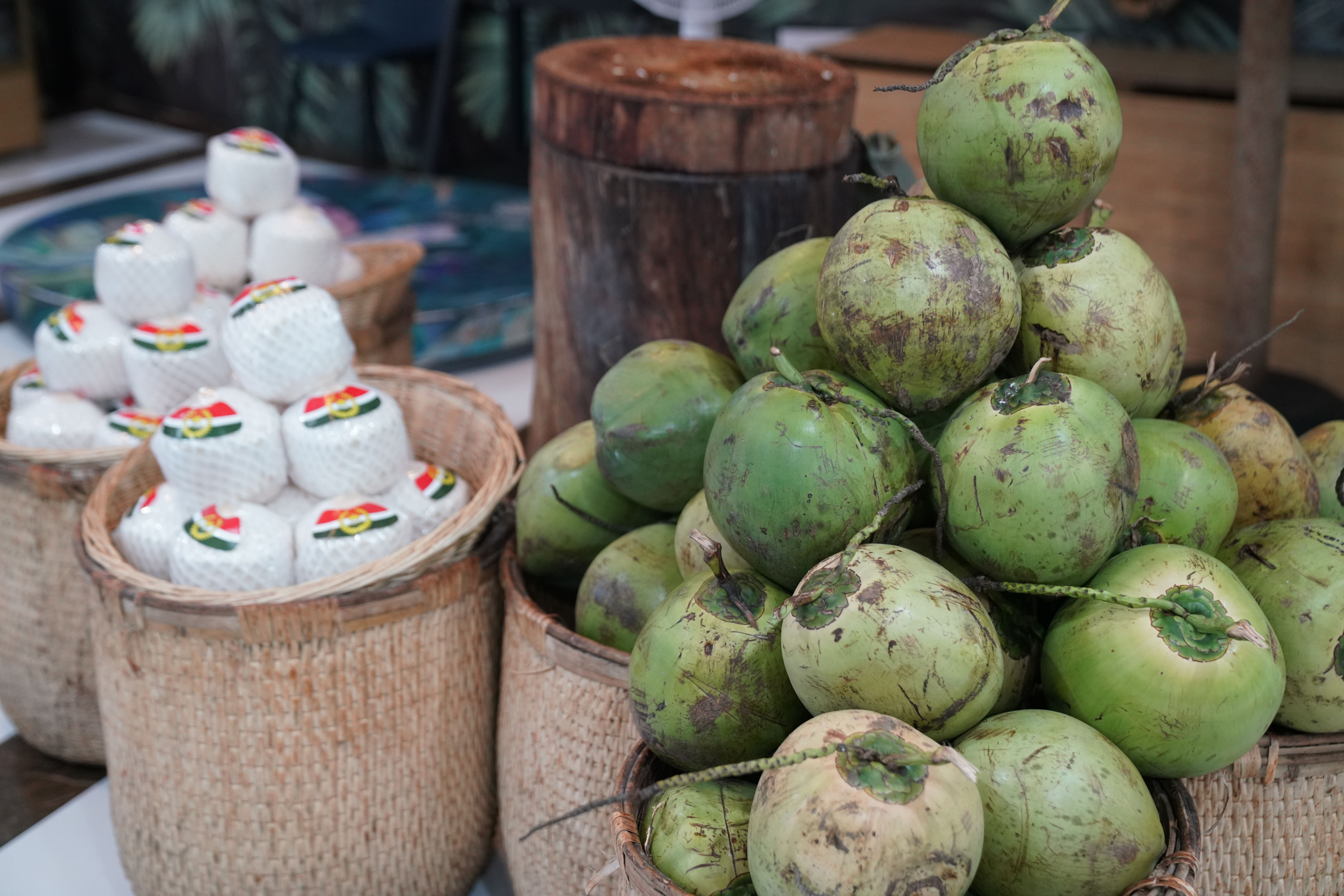 เวียดนามส่งออก 'มะพร้าว' ทุบสถิติในรอบ 14 ปี 'จีน' ขึ้นแท่นตลาดส่งออกใหญ่สุด