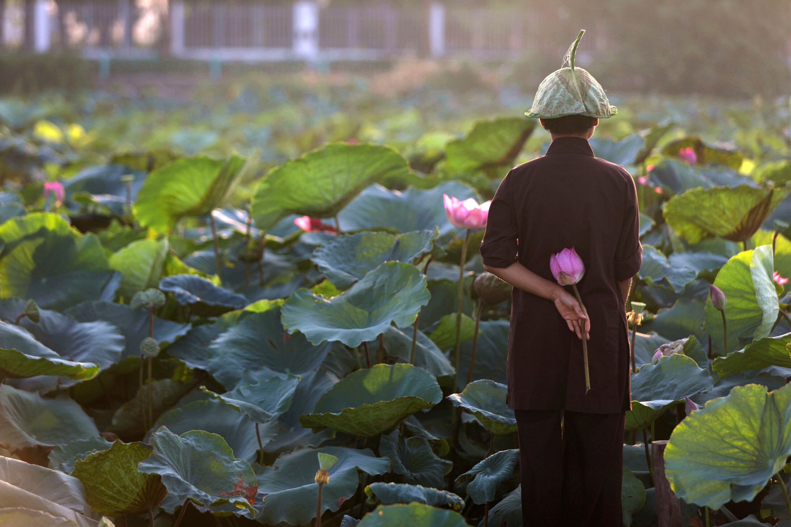 เวียดนามรับทัพ 'ผู้มาเยือนต่างชาติ' เพิ่มขึ้น 41.3% ช่วงม.ค.-ต.ค.