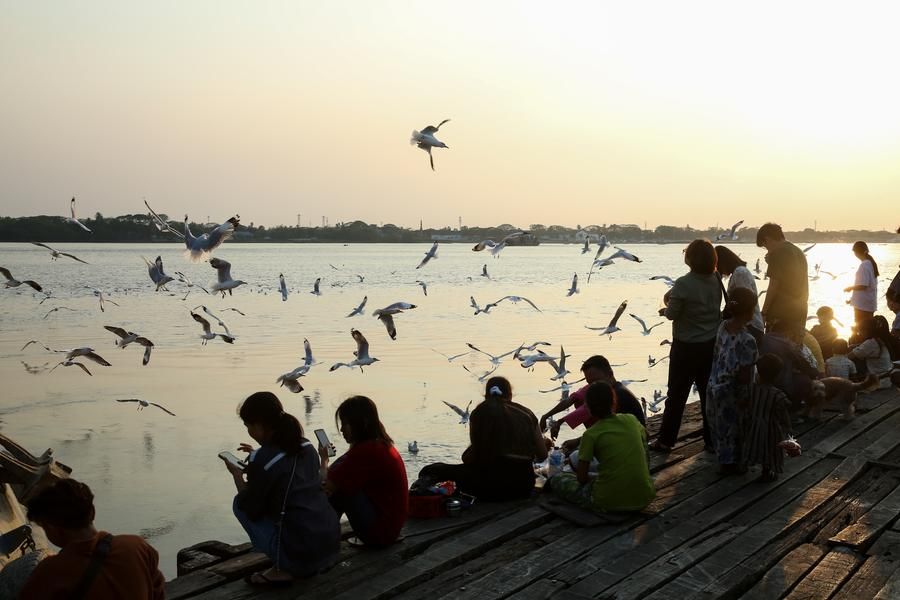 Asia Album : ชาวเมียนมาให้อาหารนกนางนวล นั่งชิลริมแม่น้ำย่างกุ้ง