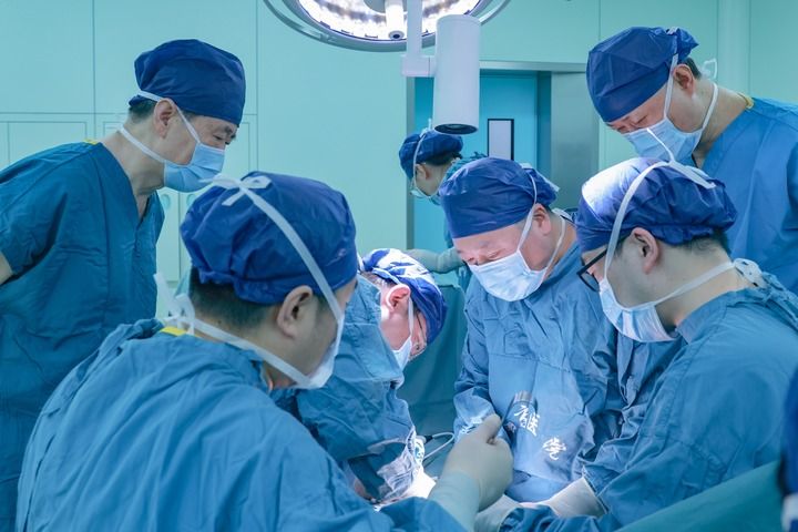 จีนเผย 'ลิง' รับการปลูกถ่าย 'ไตหมู' อยู่รอดเกิน 180 วัน