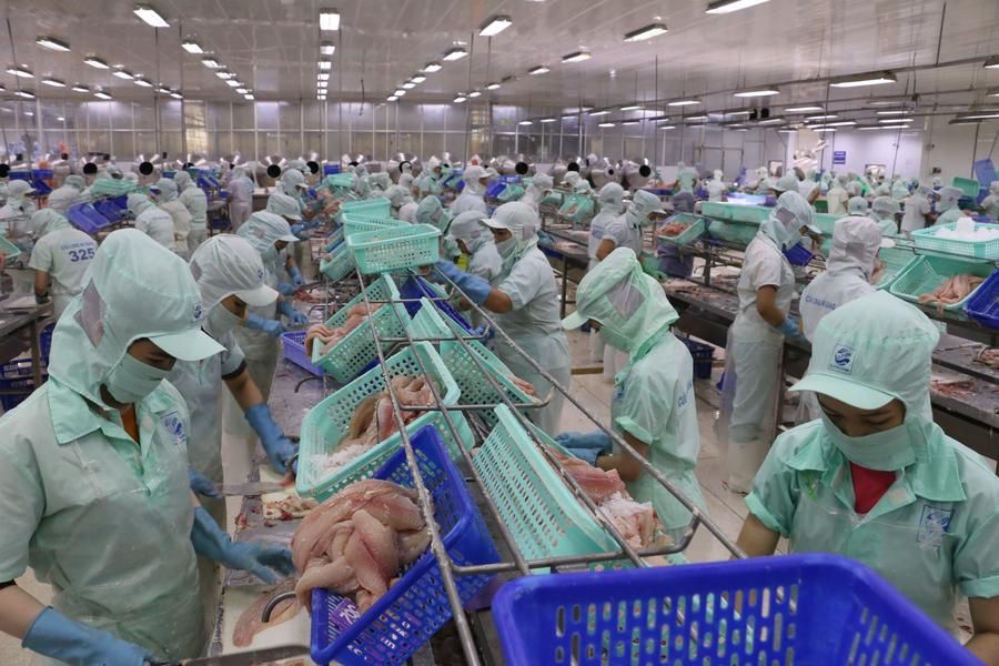 เวียดนามคาดส่งออก 'ปลาสวาย' ในปี 2024 แตะ 2 พันล้านดอลล์