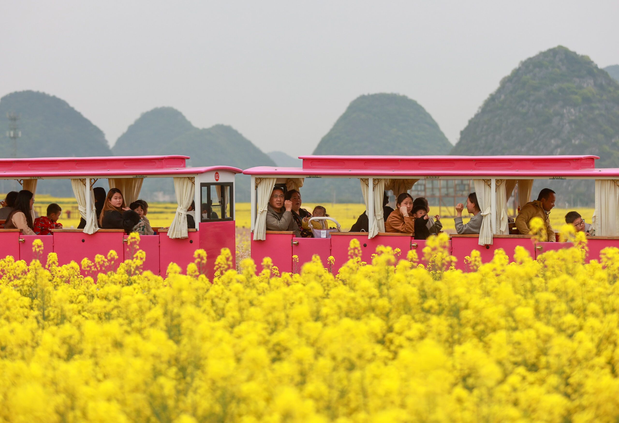 จีนเร่งพัฒนาเครือข่าย 'เฝ้าติดตามสิ่งแวดล้อมเชิงนิเวศ' ให้เป็นระบบดิจิทัล