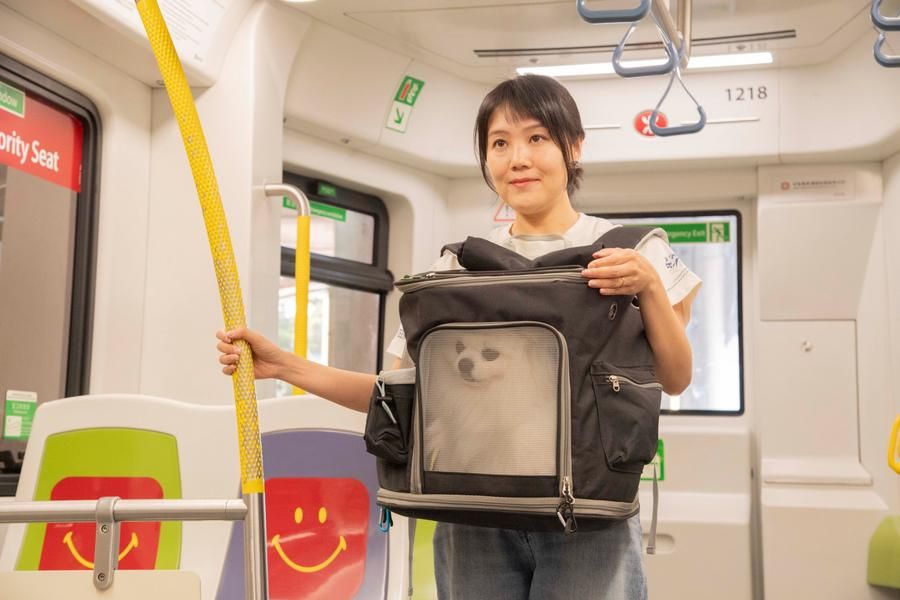 ฮ่องกงทดลองไฟเขียว 'แมว-สุนัข' ขึ้นรถไฟฟ้ารางเบาเชื่อมชุมชน