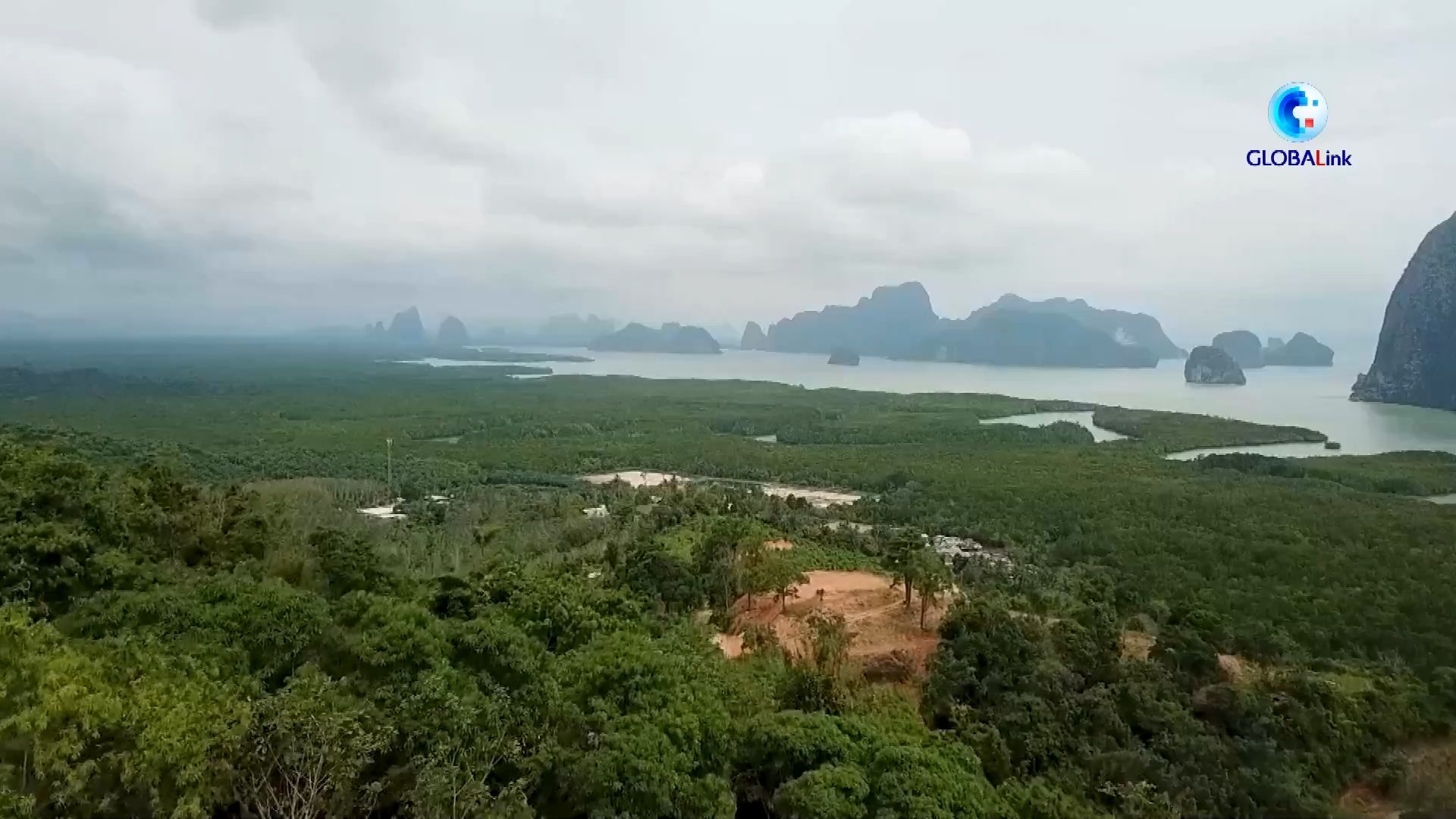 จีน-ไทยจับมือตั้งเขตสาธิตร่วมอนุรักษ์ 'ป่าชายเลน' ในพังงา